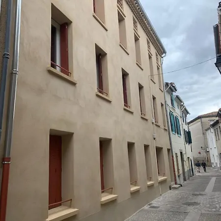 Charme, Confort En Centre-ville Limoux