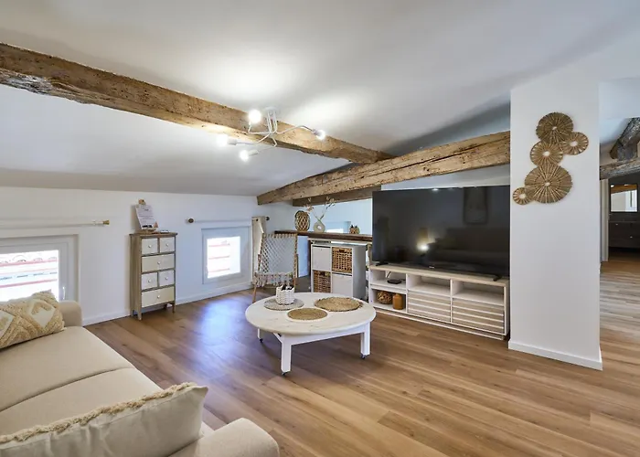 Charme, Confort En Centre-ville * Limoux